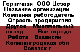 Горничная. ООО Цезар › Название организации ­ Компания-работодатель › Отрасль предприятия ­ Другое › Минимальный оклад ­ 1 - Все города Работа » Вакансии   . Калининградская обл.,Советск г.